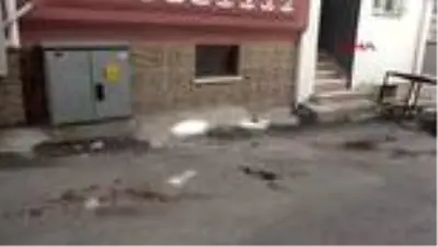 Sokakta kanlar içinde bulundu, 4'üncü kattaki balkondan düştüğü belirlendi Sokakta kanlar içinde bulundu, 4'üncü kattaki balkondan düştüğü belirlendi
