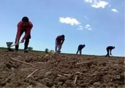 Son dakika haber... Sosyal mesafeli üretim ve ekonomiye katkı
