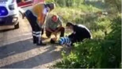 Yoldan çıkan otomobilin şarampole yuvarlanmasını ağaçlar önledi Yoldan çıkan otomobilin şarampole yuvarlanmasını ağaçlar önledi