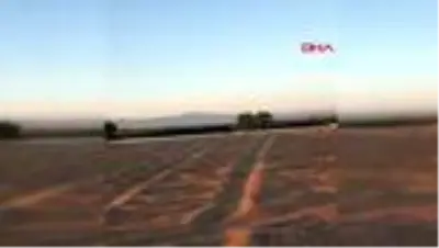 ANTALYA Caretta carettaların yuvaları sorumsuz sürücülerin tehdidi altında