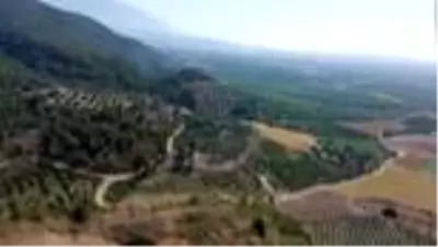 Son Dakika: Arsuz'da orman yangını (2) Son Dakika: Arsuz'da orman yangını (2)