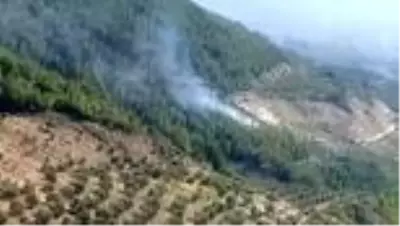 Son Dakika: Arsuz'da orman yangını (2) Son Dakika: Arsuz'da orman yangını (2)