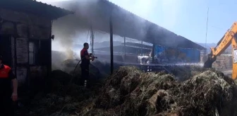 Aydın'da, kömür deposundaki yangın korkuttu