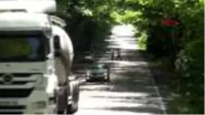 BARTIN Ağaç tünel yol büyülüyor BARTIN Ağaç tünel yol büyülüyor