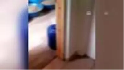 Başakşehir'de kaçak nargile tütünü imal ettikleri öne sürülen 5 kişi yakalandı Başakşehir'de kaçak nargile tütünü imal ettikleri öne sürülen 5 kişi yakalandı