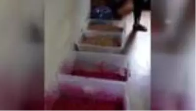 Başakşehir'de kaçak nargile tütünü imal ettikleri öne sürülen 5 kişi yakalandı Başakşehir'de kaçak nargile tütünü imal ettikleri öne sürülen 5 kişi yakalandı
