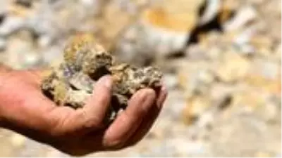 Bayburt'ta tesadüfen keşfedilen 'kehribar' için bir çok ülke sıraya girdi Bayburt'ta tesadüfen keşfedilen 'kehribar' için bir çok ülke sıraya girdi