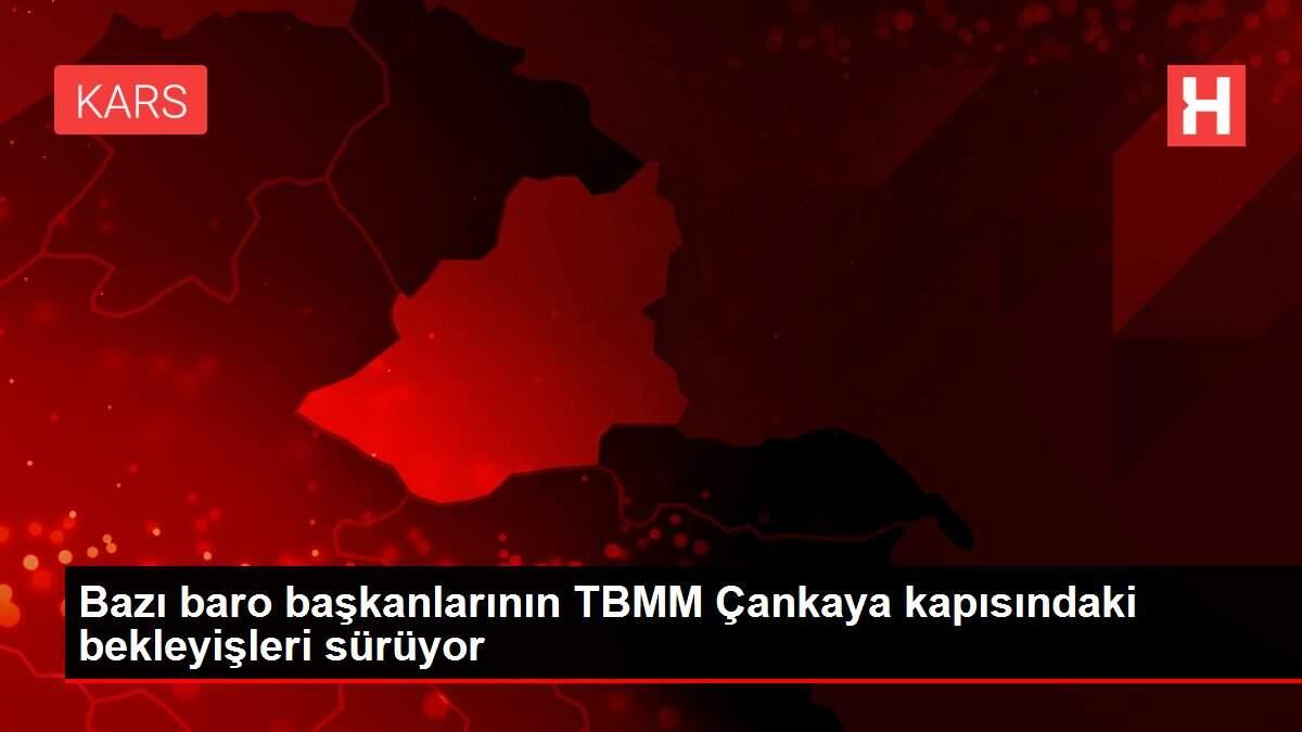 Bazı baro başkanlarının TBMM Çankaya kapısındaki bekleyişleri sürüyor