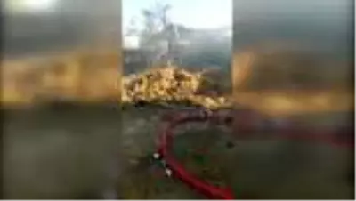 Besi çiftliğinde çıkan yangında 7 bin balya saman yandı Besi çiftliğinde çıkan yangında 7 bin balya saman yandı
