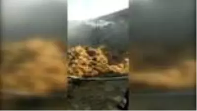 Besi çiftliğinde çıkan yangında 7 bin balya saman yandı