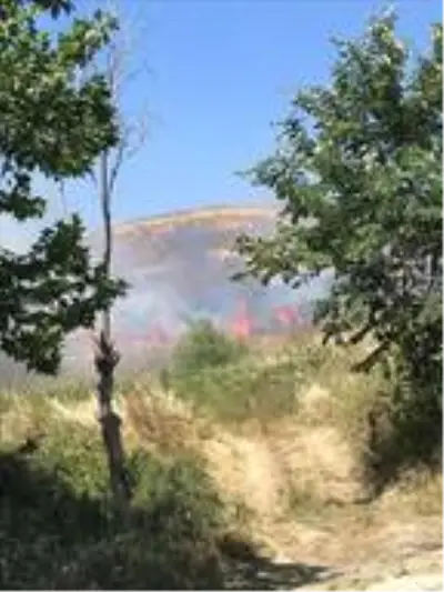 Beylikdüzü'nde geniş alanda yanan otlar paniğe neden oldu