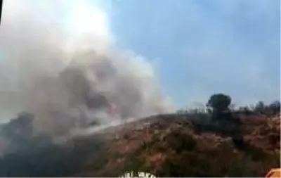 Beylikdüzü'nde otluk alanda çıkan yangın mahalleliyi korkuttu