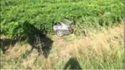 Birbirlerine çarpmamak için kaza yaptılar: 5 yaralı Birbirlerine çarpmamak için kaza yaptılar: 5 yaralı