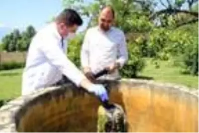Düzce'de yanan kuyu suyunun analizi yapılacak Düzce'de yanan kuyu suyunun analizi yapılacak