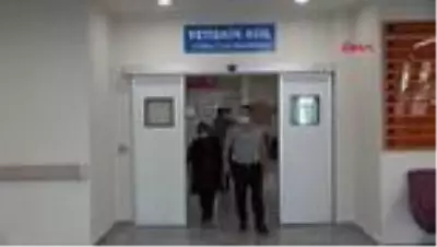 Erzurum Şehir Hastanesi yoğun bakım ünitesine 'milli nefes' Erzurum Şehir Hastanesi yoğun bakım ünitesine 'milli nefes'