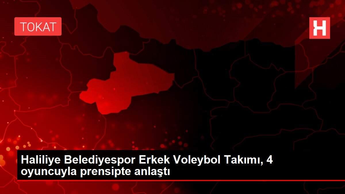 Haliliye Belediyespor Erkek Voleybol Takımı, 4 oyuncuyla prensipte anlaştı Haliliye Belediyespor Erkek Voleybol Takımı, 4 oyuncuyla prensipte anlaştı