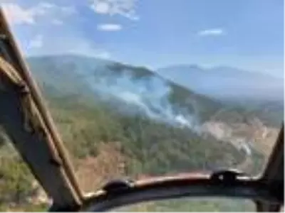 Hatay'da 5 hektarlık ormanlık alan yangında zarar gördü Hatay'da 5 hektarlık ormanlık alan yangında zarar gördü