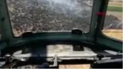 Hatay'da 5 hektarlık ormanlık alan yangında zarar gördü Hatay'da 5 hektarlık ormanlık alan yangında zarar gördü