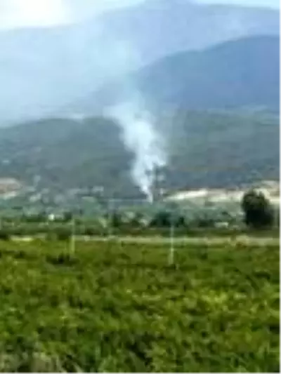 Son dakika haber... Hatay'da orman yangını Son dakika haber... Hatay'da orman yangını