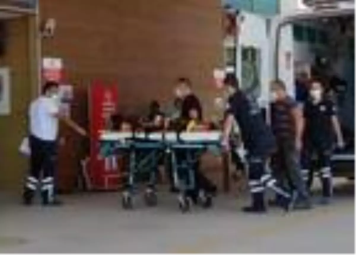İniş yaparken paraşütü ağaca takılan sporcu, yaralandı
