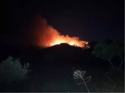 İzmir'de orman yangını
