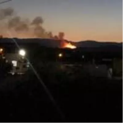 İzmir'de orman yangını