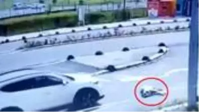 Kan donduran görüntü! Vicdansız sürücü, yolda yatan köpeği böyle ezdi Kan donduran görüntü! Vicdansız sürücü, yolda yatan köpeği böyle ezdi