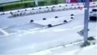 Kan donduran görüntü: Yolda yatan köpeği ezdi Kan donduran görüntü: Yolda yatan köpeği ezdi