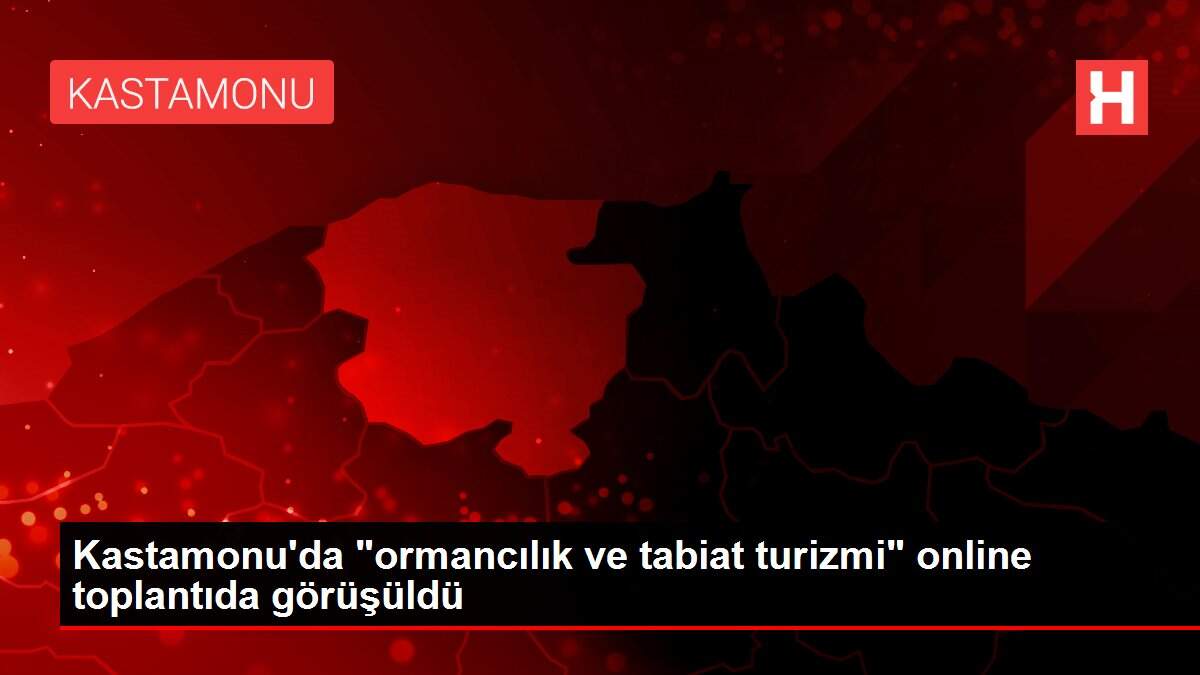 Kastamonu'da 'ormancılık ve tabiat turizmi' online toplantıda görüşüldü