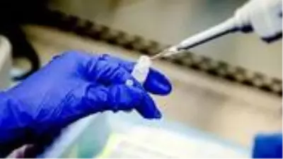 ABD'de koronavirüs aşı adayının birinci aşama klinik denemeleri olumlu sonuçlandı ABD'de koronavirüs aşı adayının birinci aşama klinik denemeleri olumlu sonuçlandı