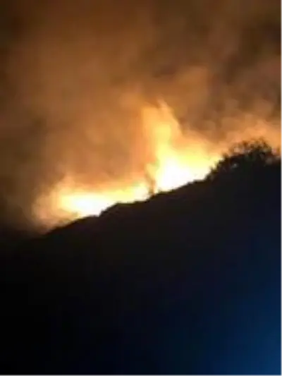 Maden Adası'nda çıkan yangını, balıkçı teknesiyle bölgeye giden itfaiyeciler söndürdü Maden Adası'nda çıkan yangını, balıkçı teknesiyle bölgeye giden itfaiyeciler söndürdü