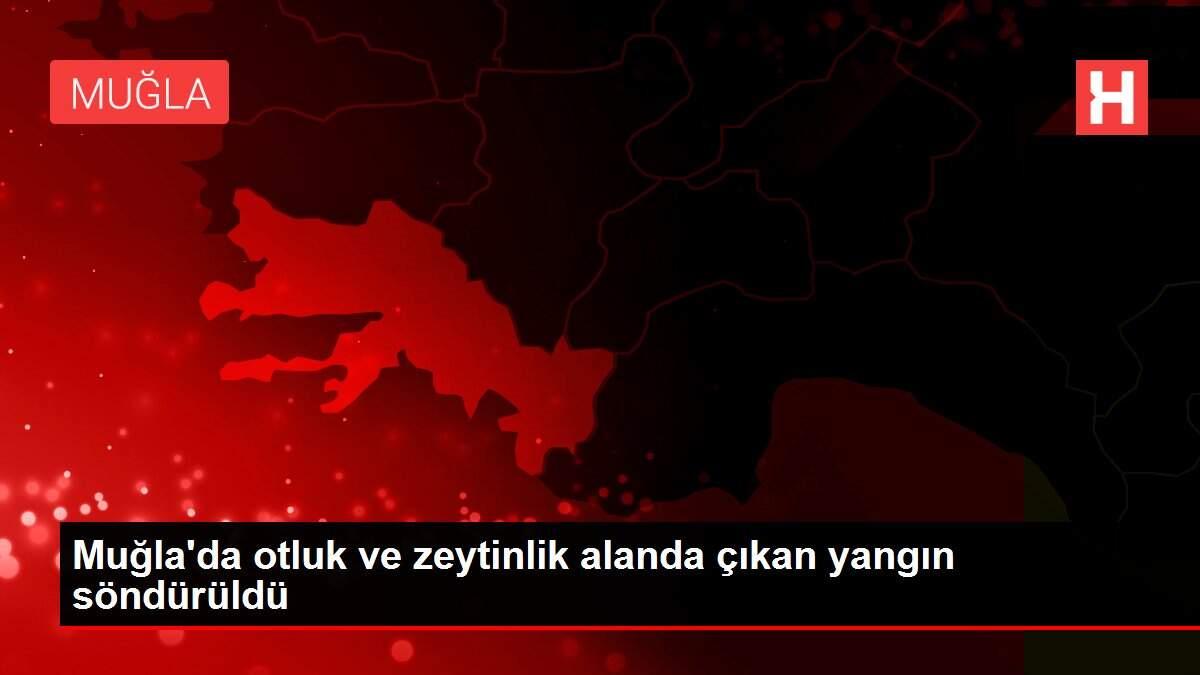 Muğla'da otluk ve zeytinlik alanda çıkan yangın söndürüldü Muğla'da otluk ve zeytinlik alanda çıkan yangın söndürüldü