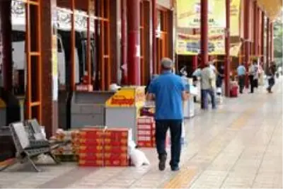 Otogarda kayısı yoğunluğu Otogarda kayısı yoğunluğu