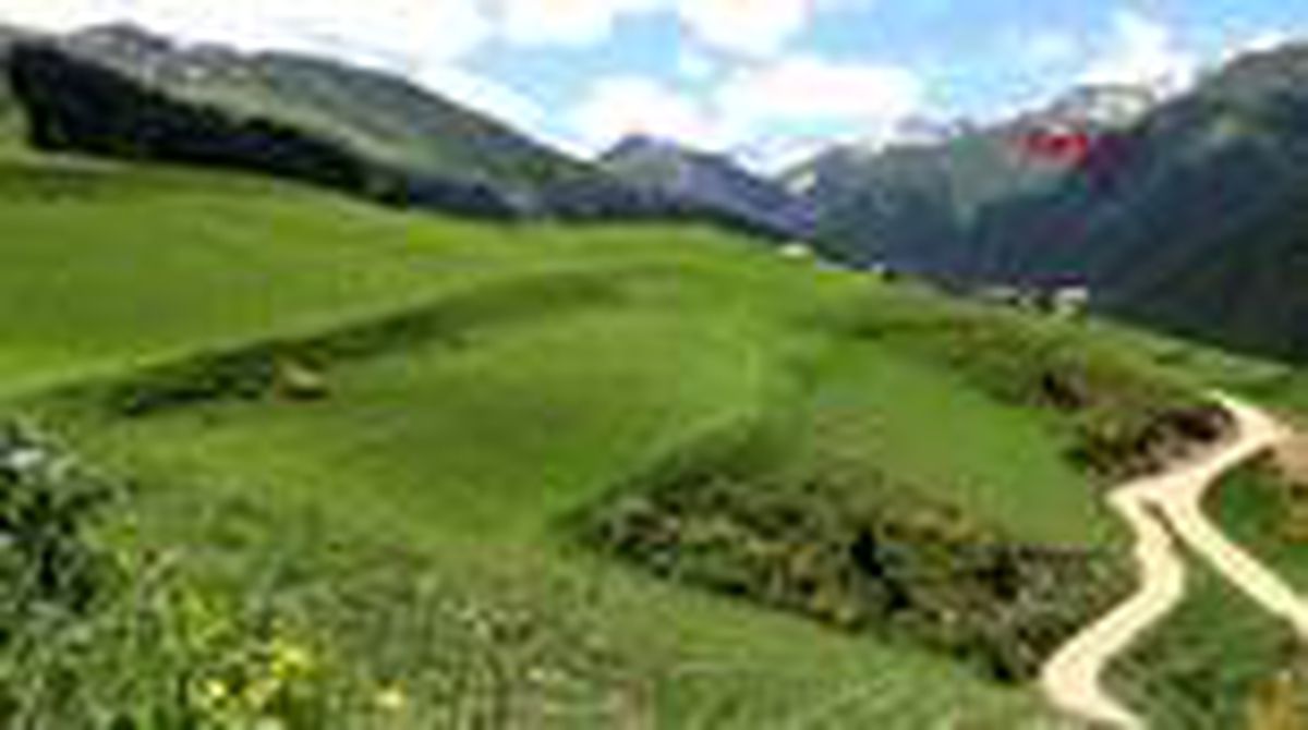 Rize'nin Petran Yaylası rengarenk