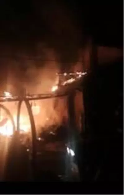 Samanlık alev alev yandı, buzağı telef oldu Samanlık alev alev yandı, buzağı telef oldu
