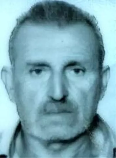 Samsun'da traktör şarampole yuvarlandı: 1 ölü