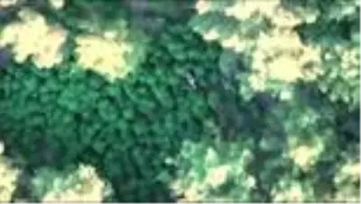 Uyuşturucu operasyonunda iki şüpheli yakalandı (2) Uyuşturucu operasyonunda iki şüpheli yakalandı (2)