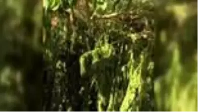 Son dakika haberleri... Uyuşturucu operasyonunda iki şüpheli yakalandı Son dakika haberleri... Uyuşturucu operasyonunda iki şüpheli yakalandı
