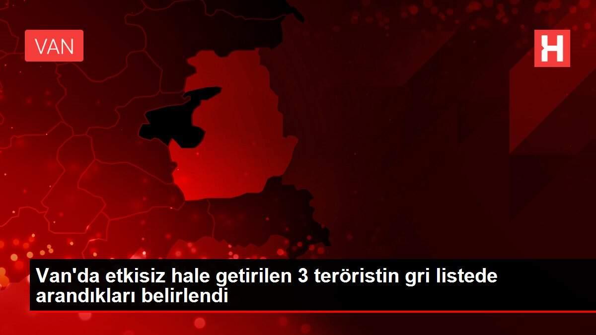 Van'da etkisiz hale getirilen 3 teröristin gri listede arandıkları belirlendi