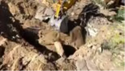 Van’da patlayıcı yapımında kullanılan 3 ton gübre ele geçirildi
