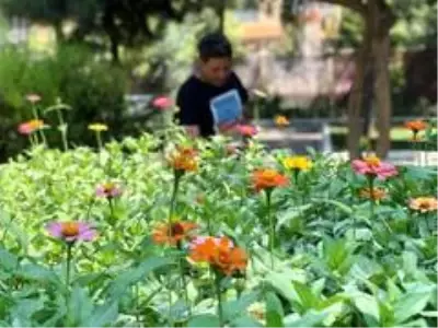 Son dakika haber | Yaz tatili dinlemediler, okullarını botanik bahçeye çevirdiler
