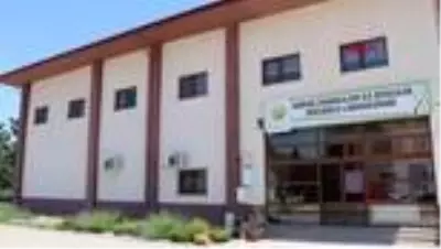 ZONGULDAK Katil arılara karşı laboratuvarda 'böcek' üretilecek ZONGULDAK Katil arılara karşı laboratuvarda 'böcek' üretilecek