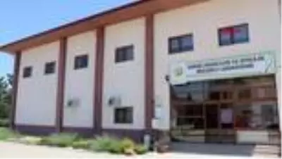 ZONGULDAK Katil arılara karşı laboratuvarda 'böcek' üretilecek ZONGULDAK Katil arılara karşı laboratuvarda 'böcek' üretilecek