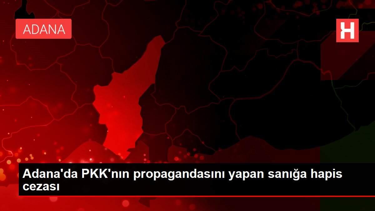 Adana'da PKK'nın propagandasını yapan sanığa hapis cezası