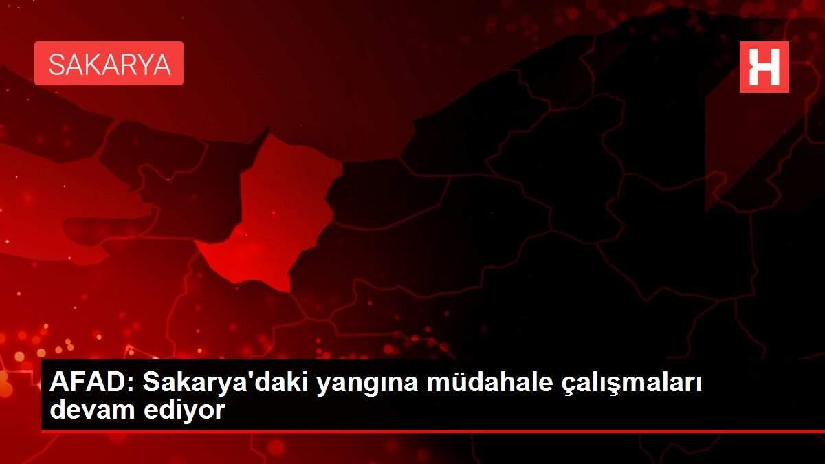 AFAD: Sakarya'daki yangına müdahale çalışmaları devam ediyor