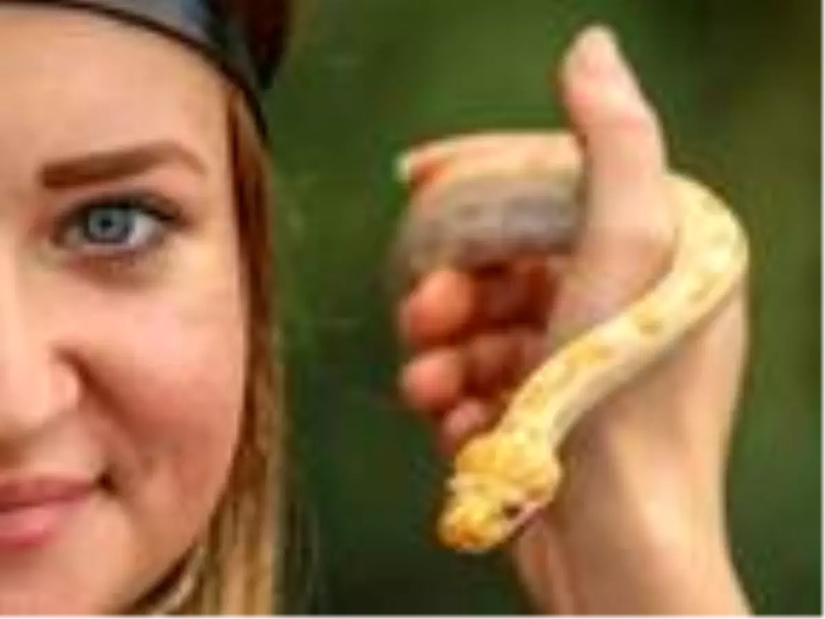 Albino piton yavrusu, Antalya Akvaryum'un maskotu oldu