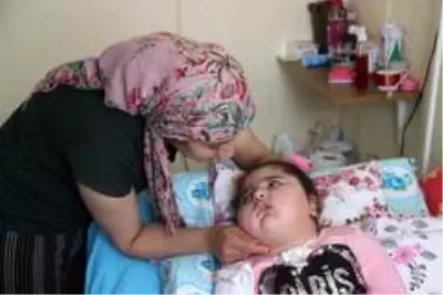 Bademcik ameliyatından sonra bitkisel hayata giren minik kızın yaşam mücadelesi Bademcik ameliyatından sonra bitkisel hayata giren minik kızın yaşam mücadelesi
