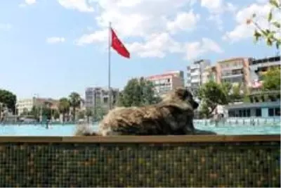 Son dakika haberleri: Böyle keyif görülmedi Son dakika haberleri: Böyle keyif görülmedi