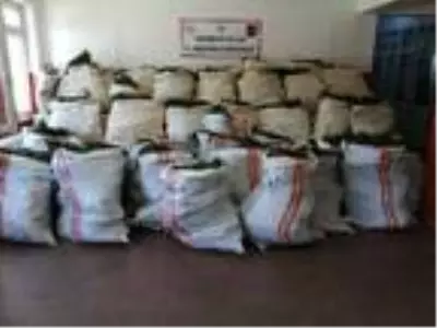 Diyarbakır'daki uyuşturucu operasyonlarında 3 ton esrar ele geçirildi Diyarbakır'daki uyuşturucu operasyonlarında 3 ton esrar ele geçirildi