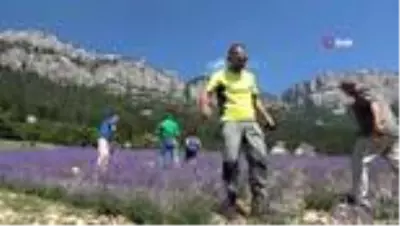 Hayalleri gerçeğe dönüşen kadınlar ziyaretçilerini ağırlıyor Hayalleri gerçeğe dönüşen kadınlar ziyaretçilerini ağırlıyor